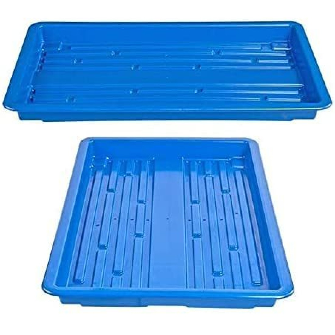 Hydroponics Germination Plastic Tray for Fodder Maize/microgreens/Seedling/Wheatgrass (Blue), pack of 3 trays 1