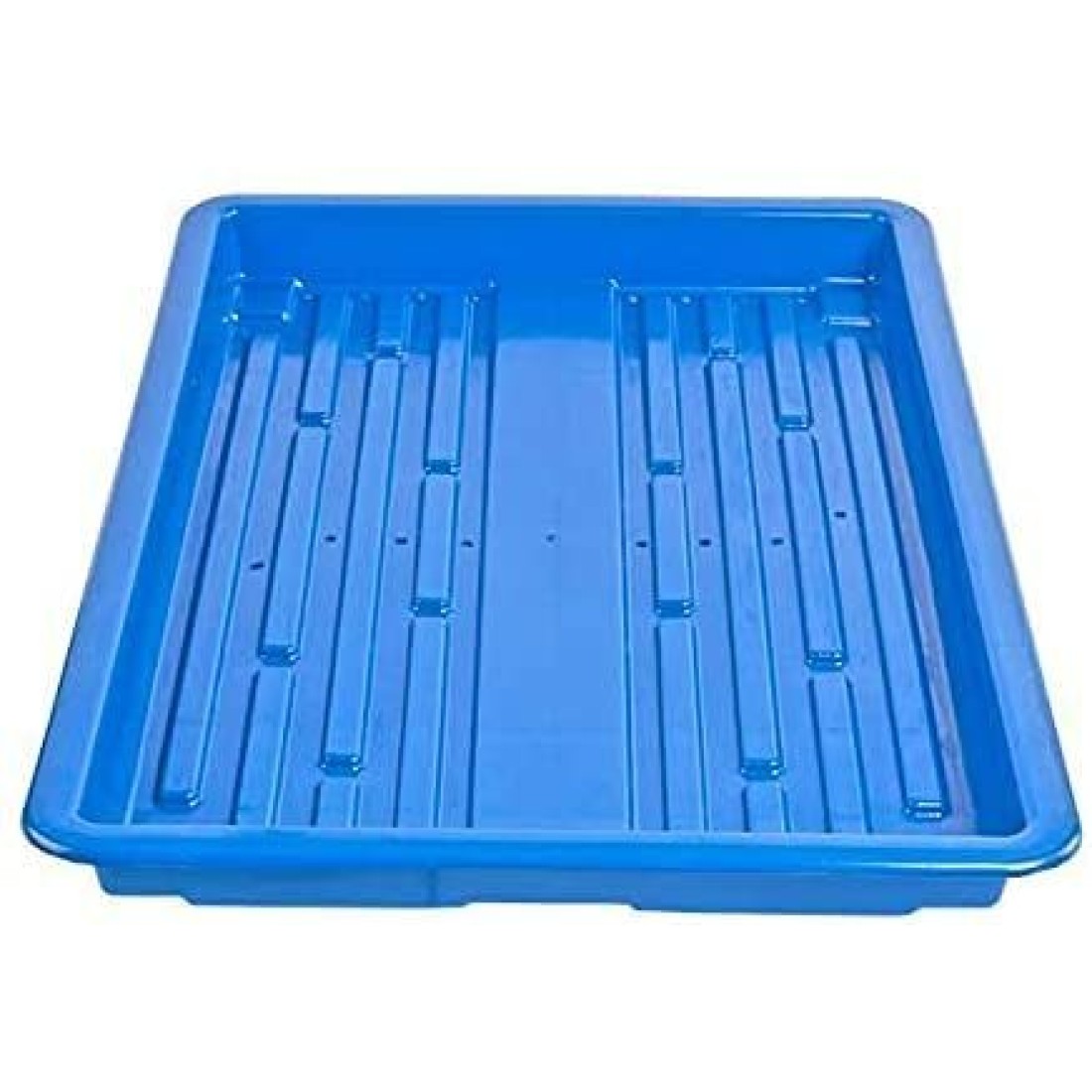 Hydroponics Germination Plastic Tray for Fodder Maize/microgreens/Seedling/Wheatgrass (Blue), pack of 3 trays 2