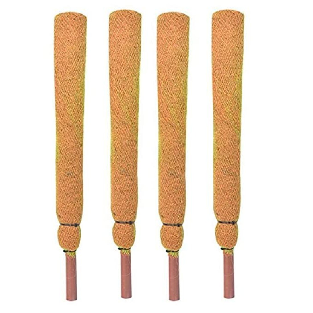 Coco Pole 1 Feet (30 cm) Moss & Coir Stick for Money Plant Support, Indoor Plants, House Plants & Plant Creepers-set of 4 2