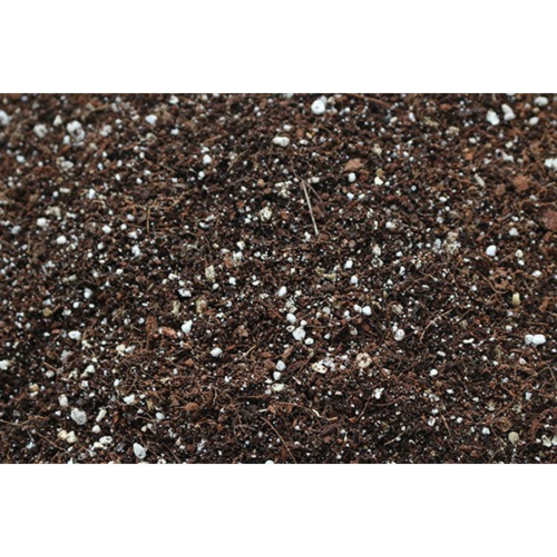 Organic Seed Starter/Seed Germination Potting Soil Mix (Pack of 2 kgs) 1