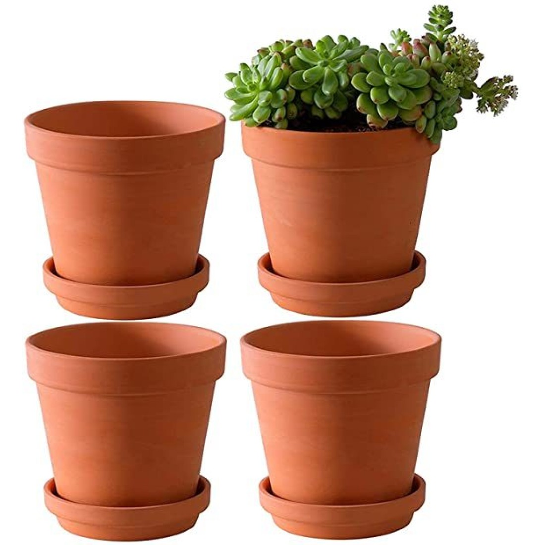 Terracotta clay Pots/Planter 6” inch Size with Saucer( Pack of 4 pots) 1