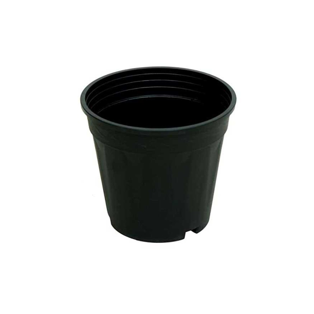 Round Black Nursery Plastic Pot /Grower Pot (size 6inches) pack of 25 pots 1