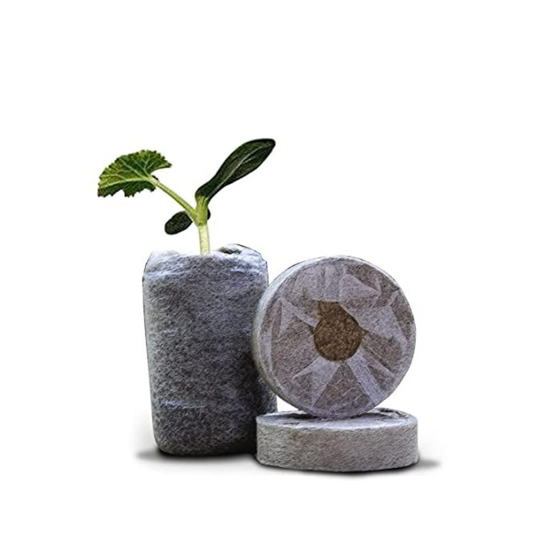Seed Starter Coco Disc/Coco Pellets/Coco Coin Jiffy Size 50MM(pack of 25) 1