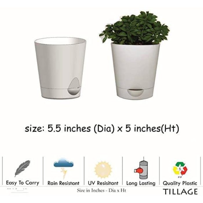 Self Watering Pots/Planters(Premium grade Plastic )Size 5.5 inches for Indoor and Outdoor Plants (Pack of 5) (brown)
