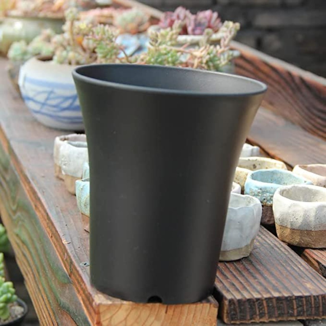 Thailand Model Tall Plastic Flower Pot Black Colored for Cactus and Succulent Size 4inch (Pack of10) 2