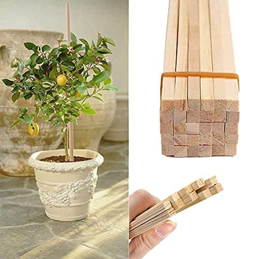 Wooden Support Sticks for Plants Climbing Support for Home Indoor & Outdoor Plants-Size 3 feet, 20 Pcs 2